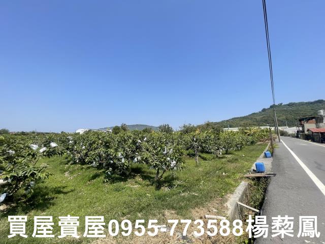高雄岡山農地-3
