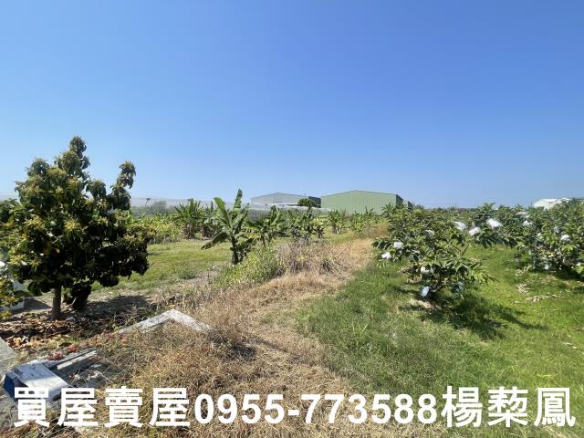高雄岡山農地-4