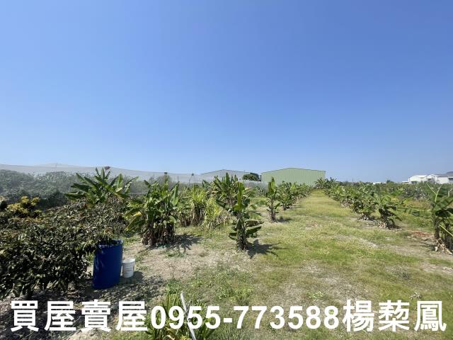高雄岡山農地-5