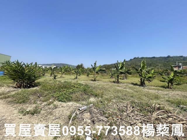 高雄岡山農地-6