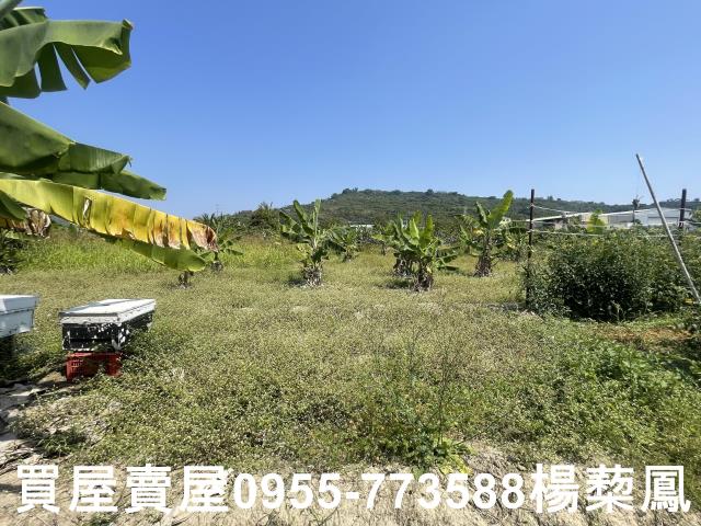 高雄岡山農地-7