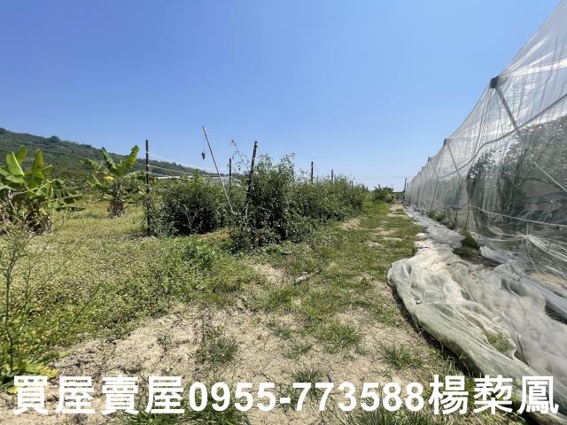 高雄岡山農地-8