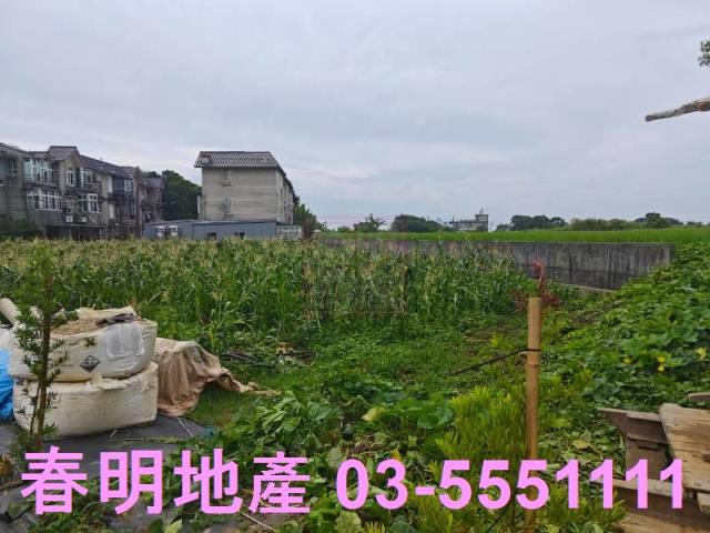 新竹新豐農地-3