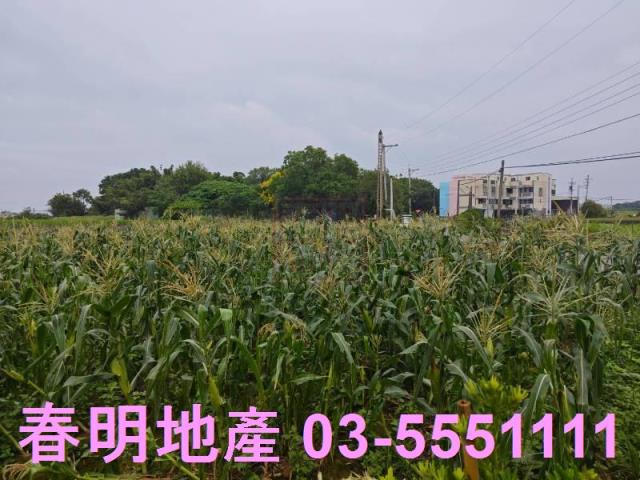新竹新豐農地-6