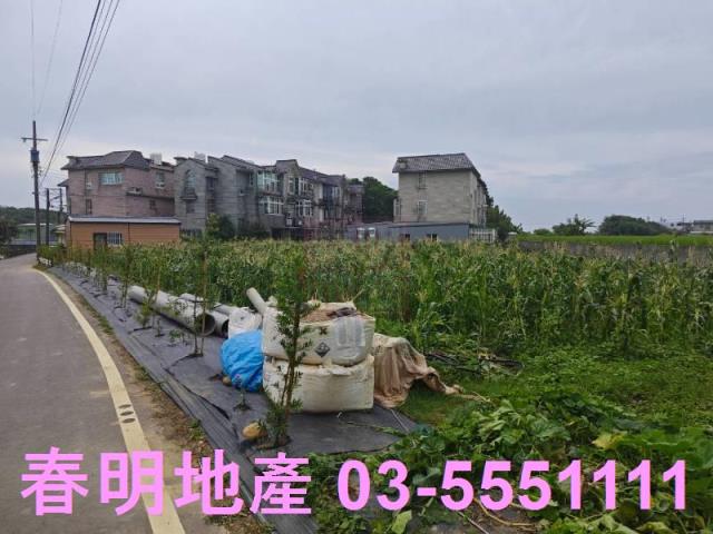 新竹新豐農地-8