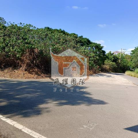 桃園新屋農地-5