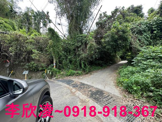 古坑農地-1