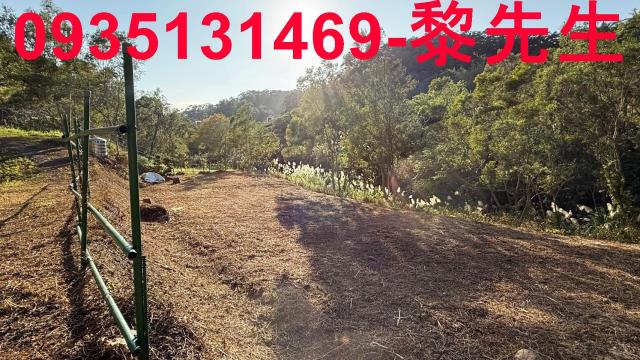 新埔一般農業區臨6米路平坦農地