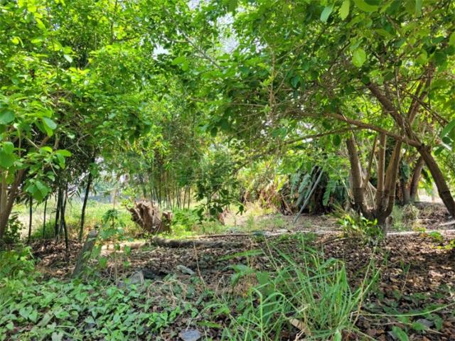 高雄阿蓮農地-7