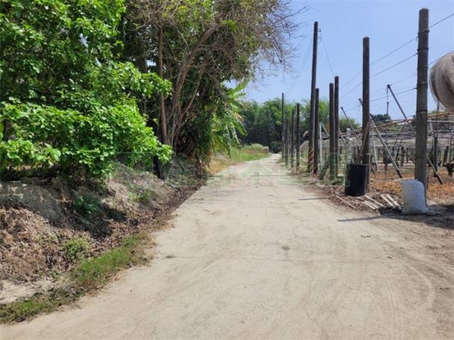 高雄阿蓮農地-8