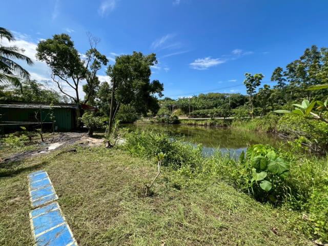 台南南化農地-1