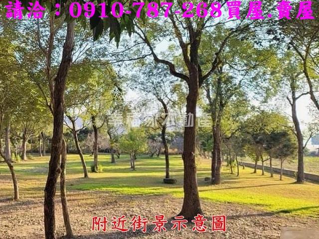 台南楠西農地-10