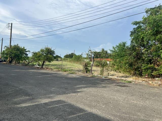 高雄梓官農地-0