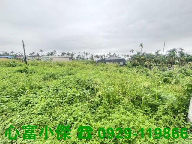 萬丹88交流道都農小農地