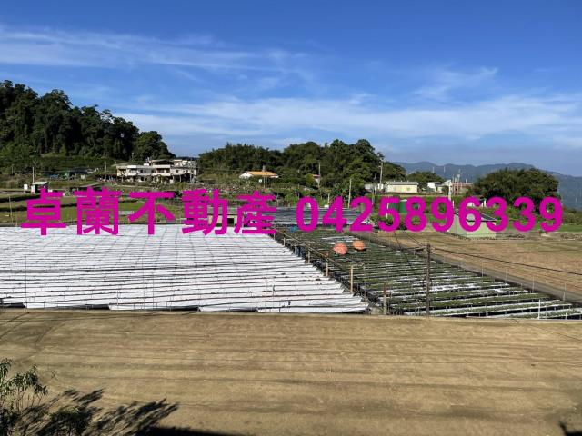 大湖農地-9