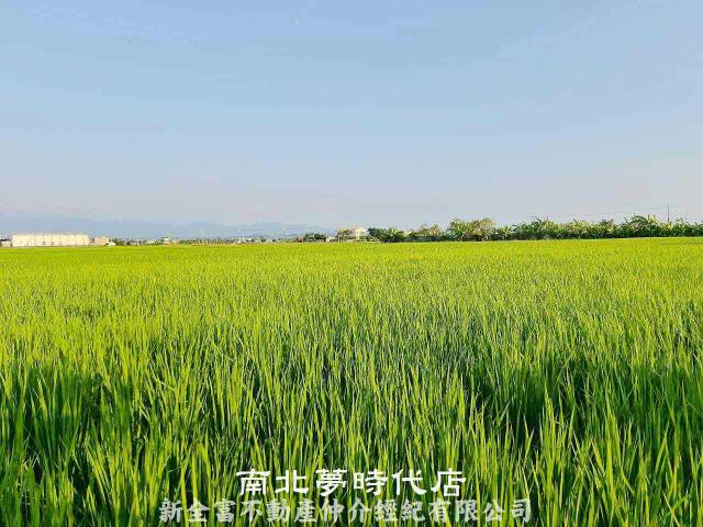 台南柳營農地-0