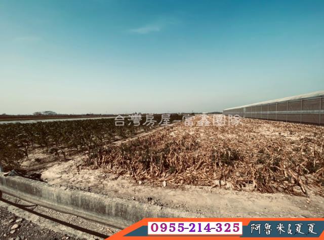 嘉義六腳農地-5