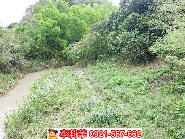 高雄田寮農地-3