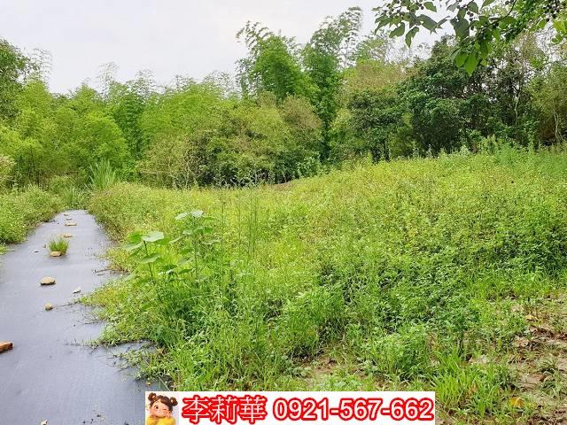 高雄田寮農地-5