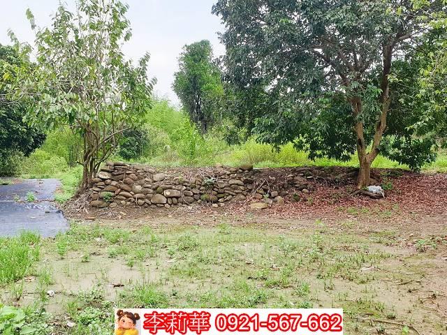 高雄田寮農地-7