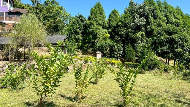 新竹橫山農地-6