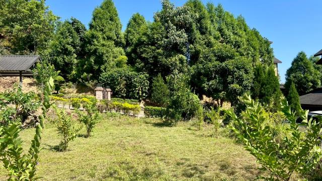 新竹橫山農地-7