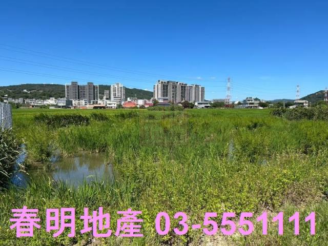 新埔農地-7