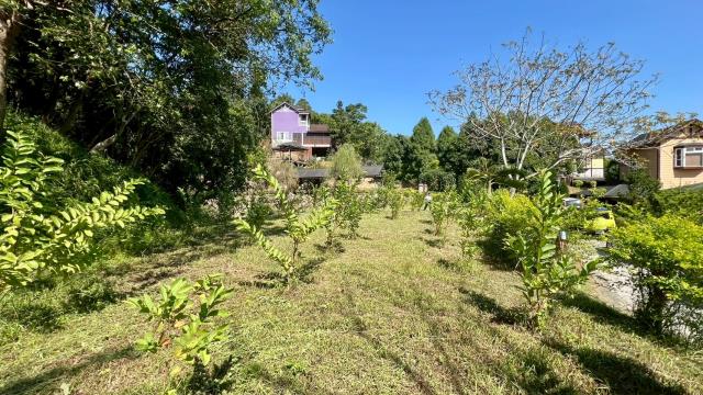 新竹寶山休閒農地A