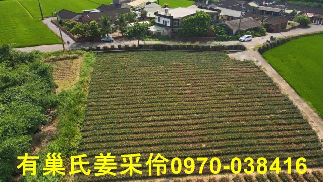 民雄農地-1