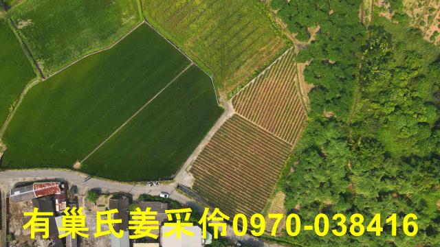 民雄農地-5