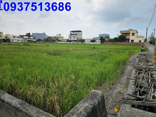 花壇農地-0