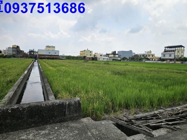 花壇農地-1