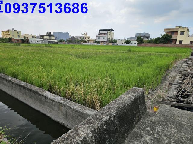 花壇農地-2