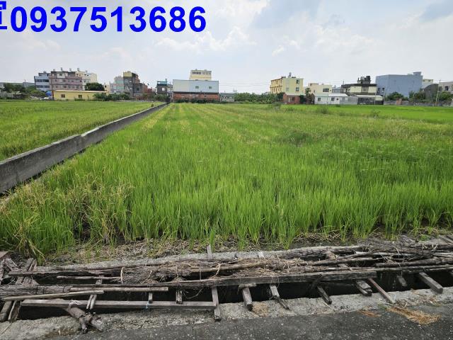 花壇農地-3