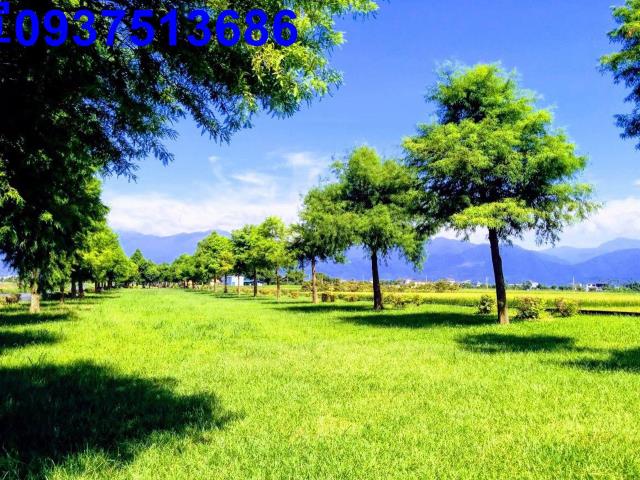 宜蘭農地-14