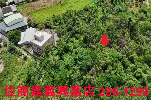 嘉義農地-1
