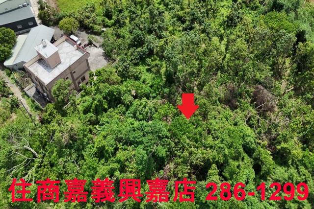 嘉義農地-2