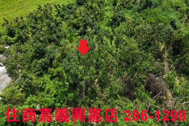 嘉義農地-3