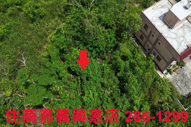嘉義農地-4