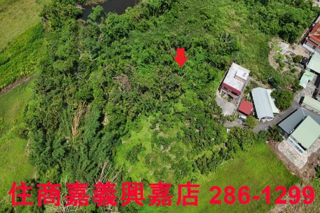 嘉義農地-5
