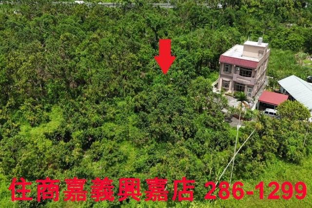 嘉義農地-6
