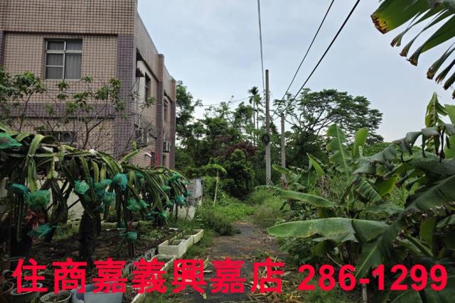 嘉義農地-7