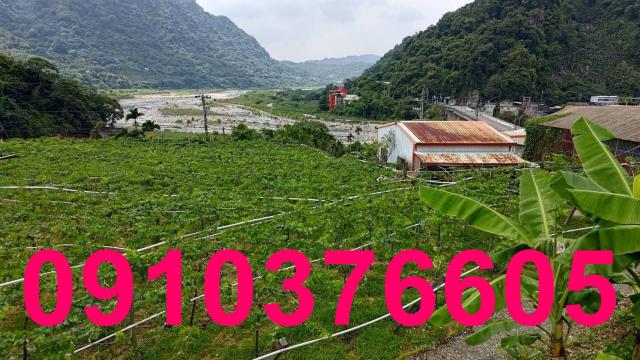 台中農地-1