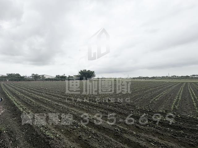 台南善化農地-1