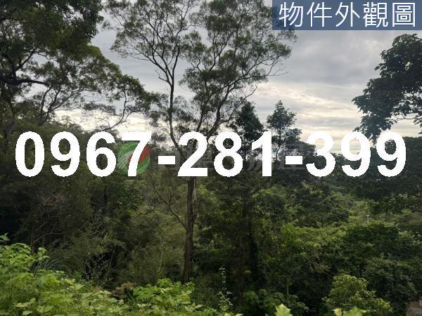 苗栗造橋農地-1