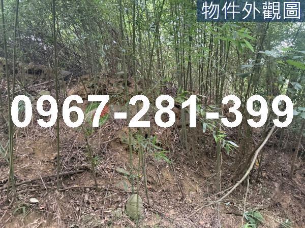 苗栗造橋農地-2