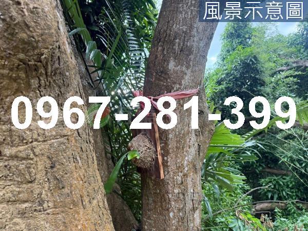 苗栗造橋農地-3