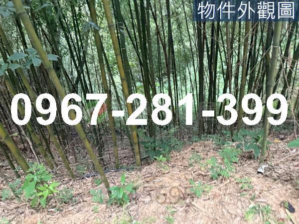 苗栗造橋農地-5