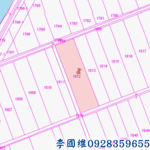 台南鹽水農地法拍-2