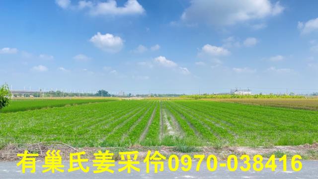 嘉義鹿草農地-10